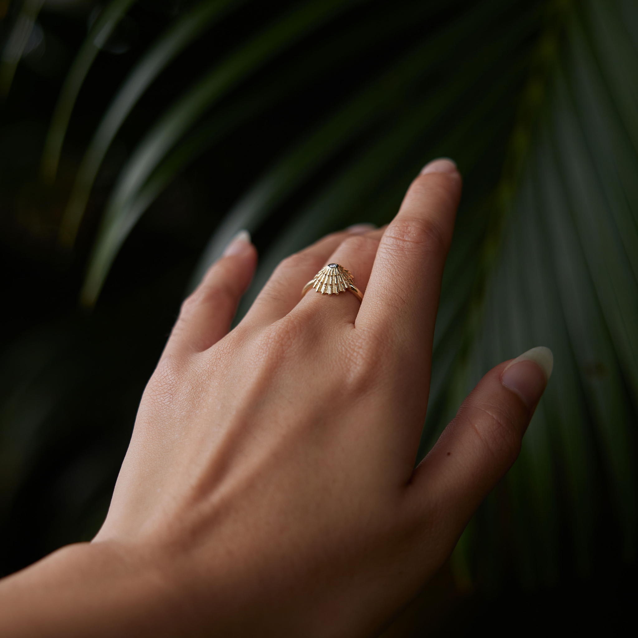 ʻOpihi Ring in Gold with Diamond - 12mm