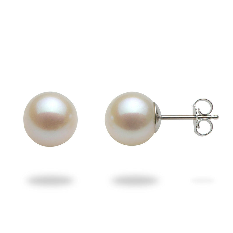 White Freshwater Pearl Earrings in White Gold – Maui Divers Jewelry